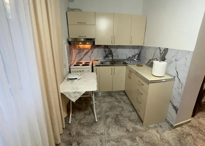 Ida Myslym Shyri 地拉那